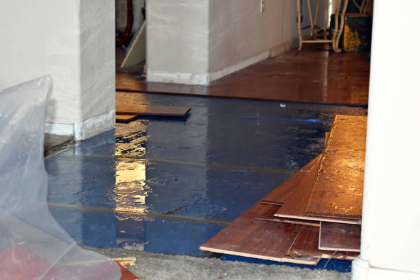 Professional Water Damage Restoration technician working in Fentress, TX